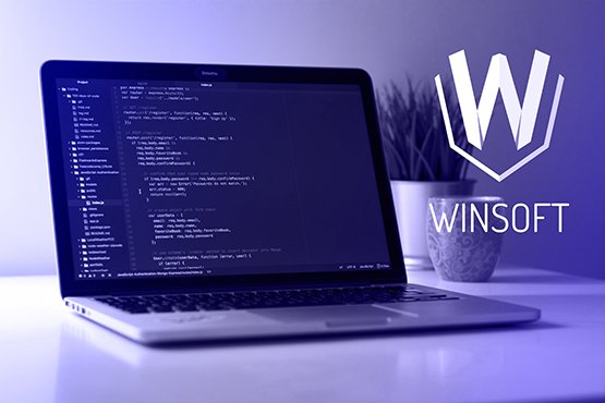 Acerca de Winsoft